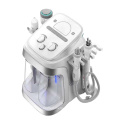 2021 neuester Fabrikpreis 6 in 1 Hochfrequenz Plasma Hydro Care Facial H2O2 Kleine Bubble Beauty Machine